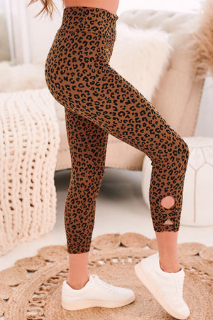 Brown Yoga Fitness Leopard Cropped Leggings